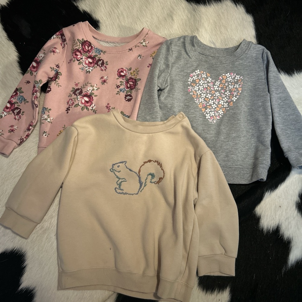 Floral Pink, Gray Heart, and Beige Squirrel Kids Sweatshirts